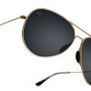 Tangle Free Aviator - Black Gold Polarized